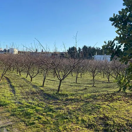 Trullo Della Selva Hébergement de vacances *