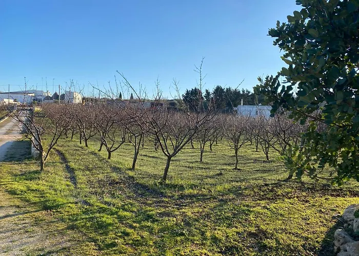 Trullo Della Selva Prázdninový dům *