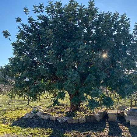 Hébergement de vacances Trullo Della Selva *