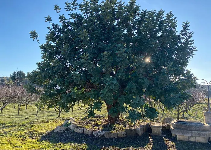 Casa vacanze Trullo Della Selva *